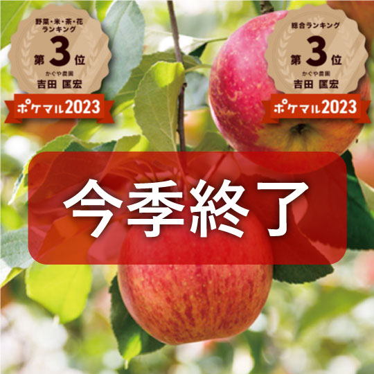 【特に甘~いりんご】青森県産「樹上完熟葉とらずつがる」【9月上旬頃~発送】贈答用厳選品・家庭用厳選品