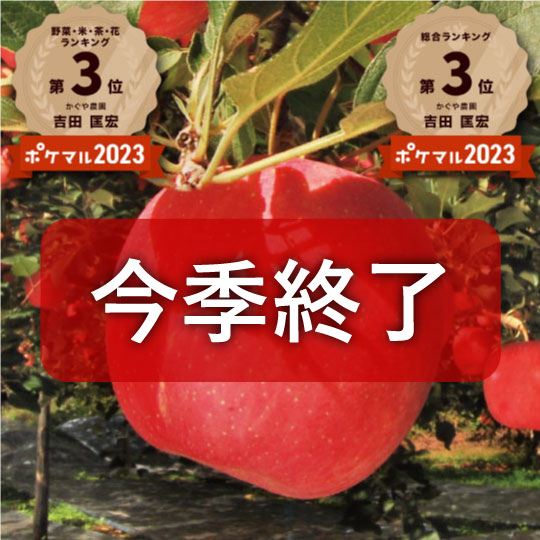 【毎年超大人気!】青森県産りんご「樹上完熟葉とらずひろさきふじ」