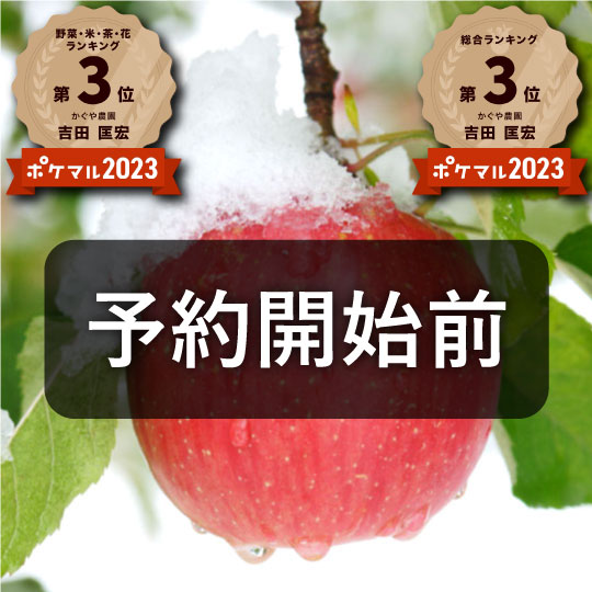 【毎年1万箱以上売れてます☆】青森県産「樹上完熟葉とらずふじ」