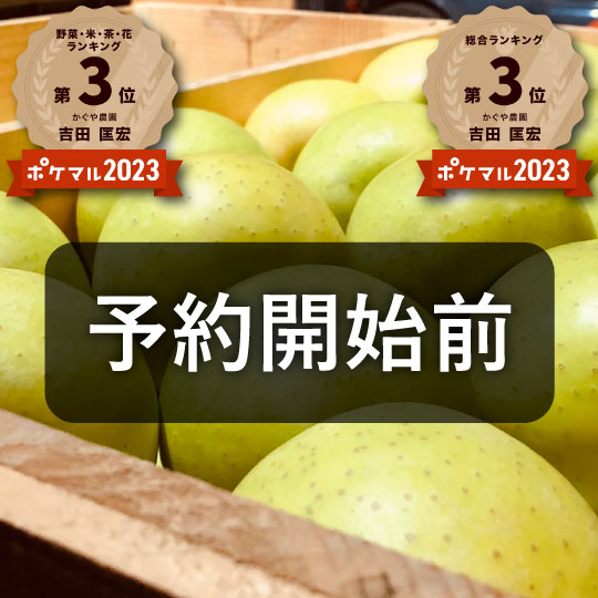 【強い甘味と芳醇な香り!】青森県産「樹上完熟葉とらず王林ちゃん」