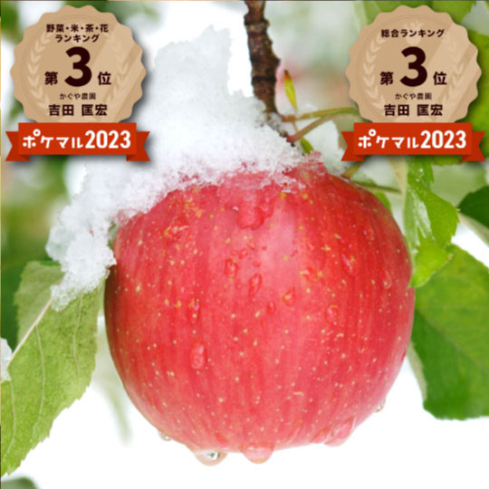 【送料込み】樹上完熟葉とらずふじ【りんごの王様】