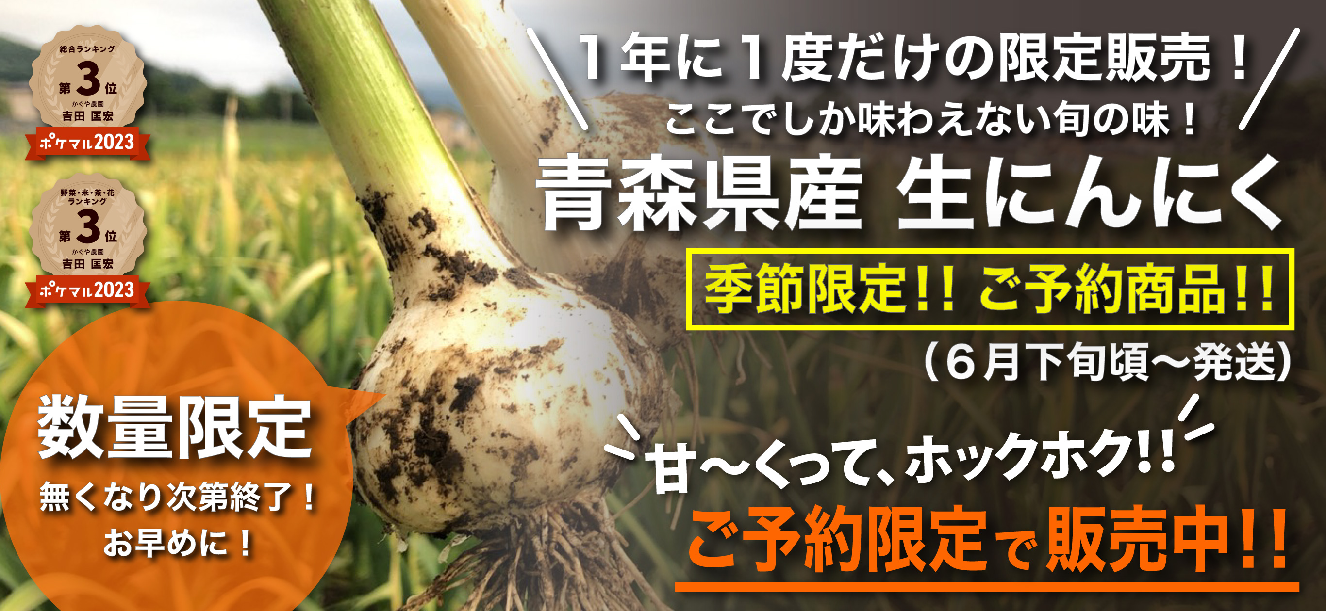 最高級品種 ホワイト6片の生にんにく