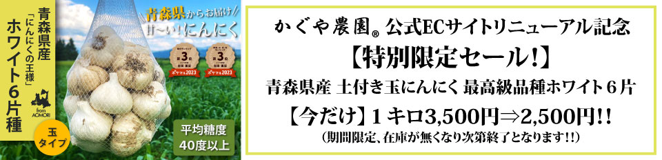 特別セール土付きにんにく
