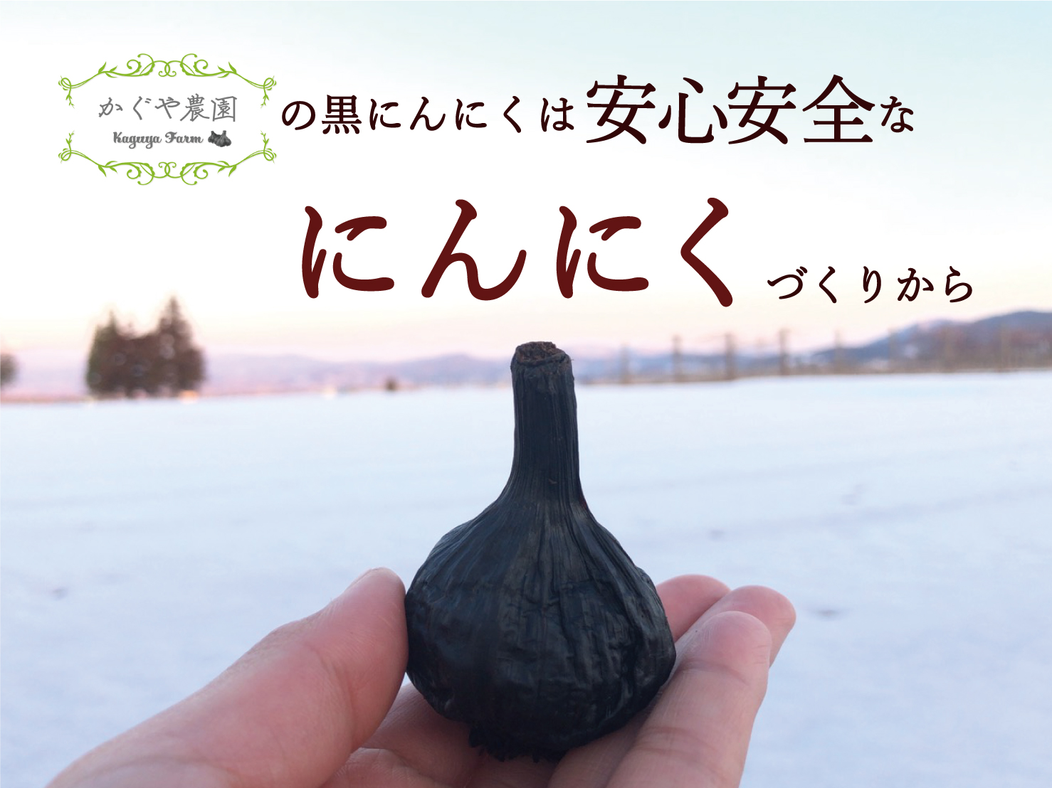 安心安全なにんにく